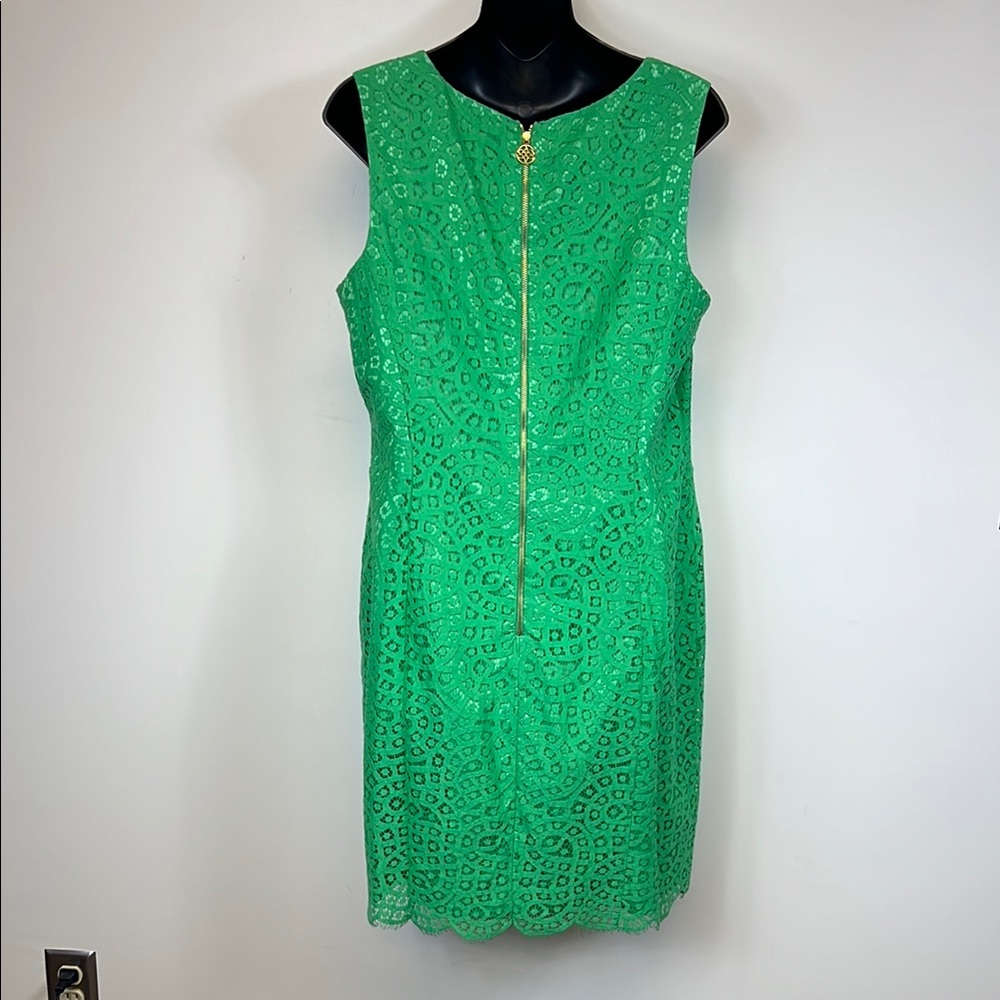 Antonio Melani Chic Green Lace Sleeveless Dress with Eyelash trim Size 12 - Picture 8 of 12